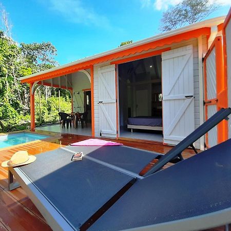 Caraibes Cottages Corail Piscine Privee A 900M De La Plage De Grande Anse 德赛 外观 照片