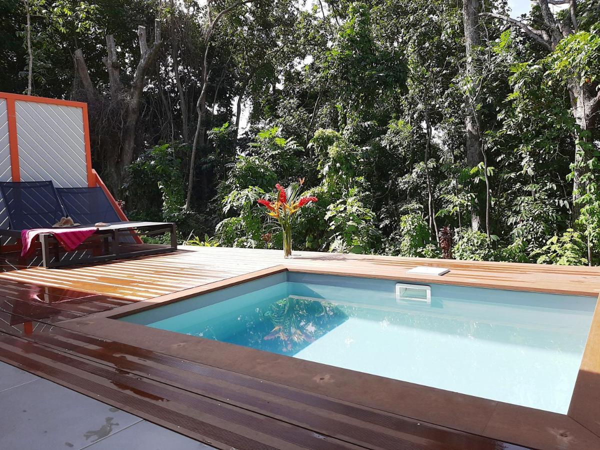 Caraibes Cottages Corail Piscine Privee A 900M De La Plage De Grande Anse 德赛 外观 照片