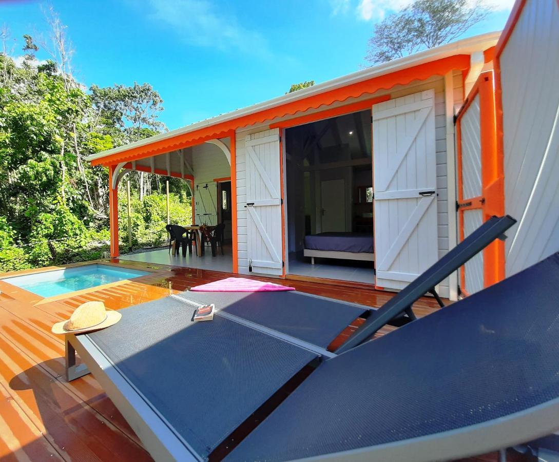Caraibes Cottages Corail Piscine Privee A 900M De La Plage De Grande Anse 德赛 外观 照片