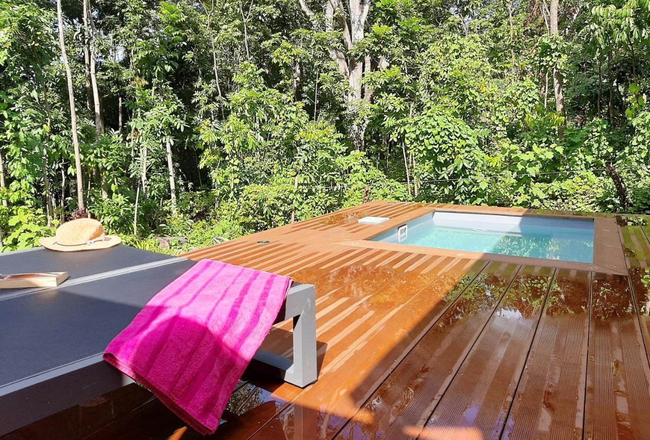 Caraibes Cottages Corail Piscine Privee A 900M De La Plage De Grande Anse 德赛 外观 照片