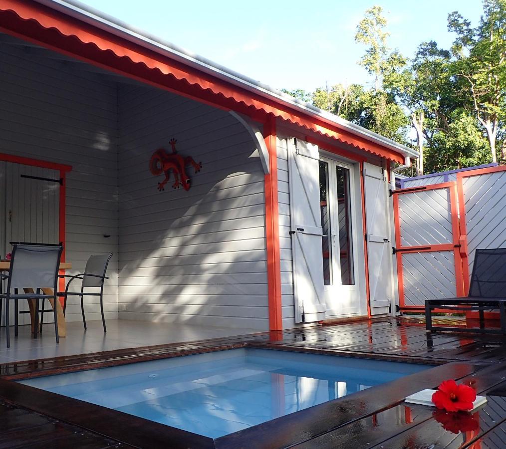 Caraibes Cottages Corail Piscine Privee A 900M De La Plage De Grande Anse 德赛 外观 照片