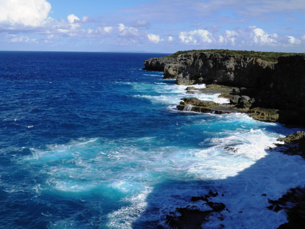 Caraibes Cottages Corail Piscine Privee A 900M De La Plage De Grande Anse 德赛 外观 照片