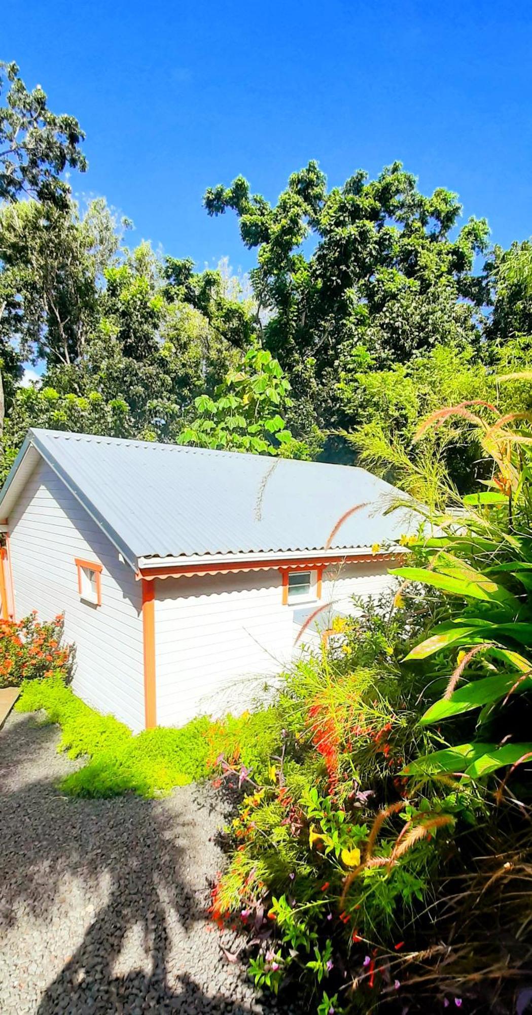 Caraibes Cottages Corail Piscine Privee A 900M De La Plage De Grande Anse 德赛 外观 照片