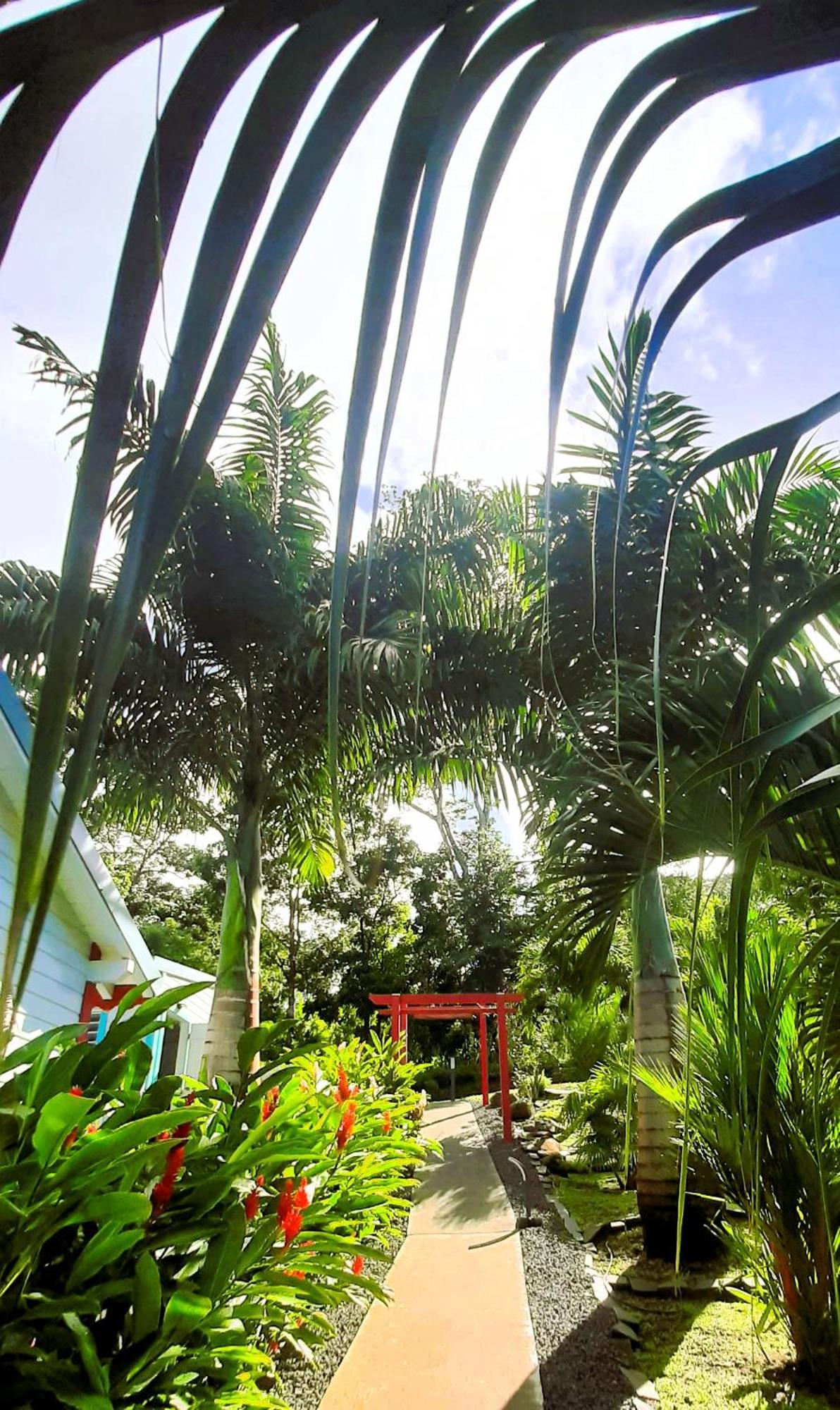 Caraibes Cottages Corail Piscine Privee A 900M De La Plage De Grande Anse 德赛 外观 照片