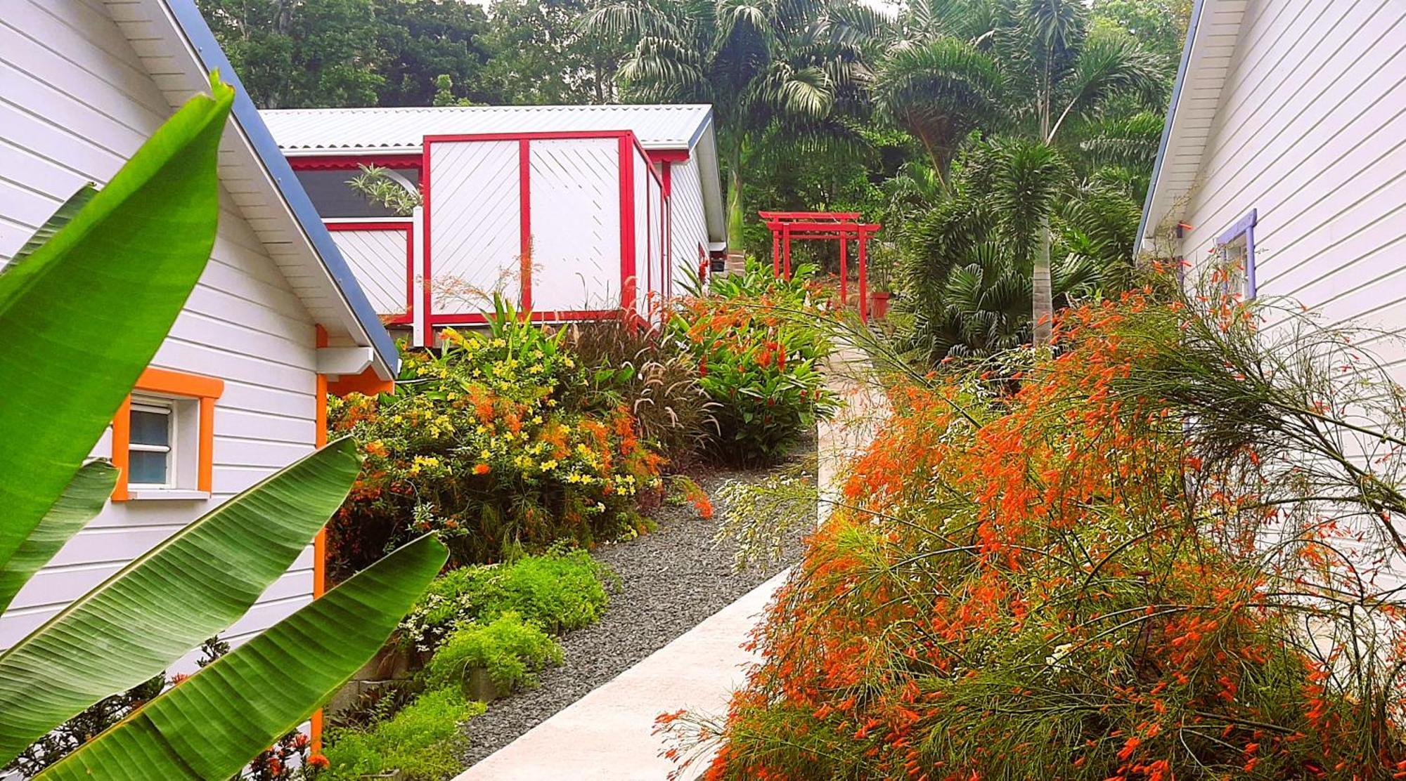 Caraibes Cottages Corail Piscine Privee A 900M De La Plage De Grande Anse 德赛 外观 照片