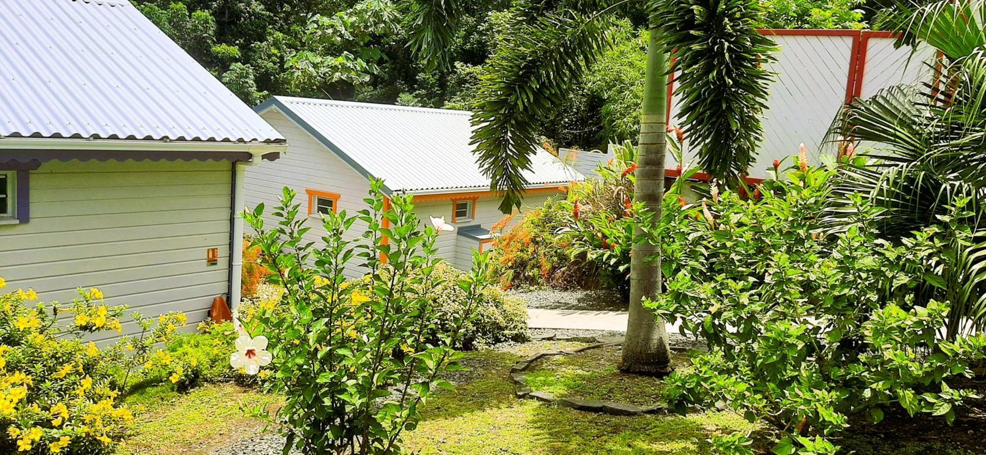 Caraibes Cottages Corail Piscine Privee A 900M De La Plage De Grande Anse 德赛 外观 照片
