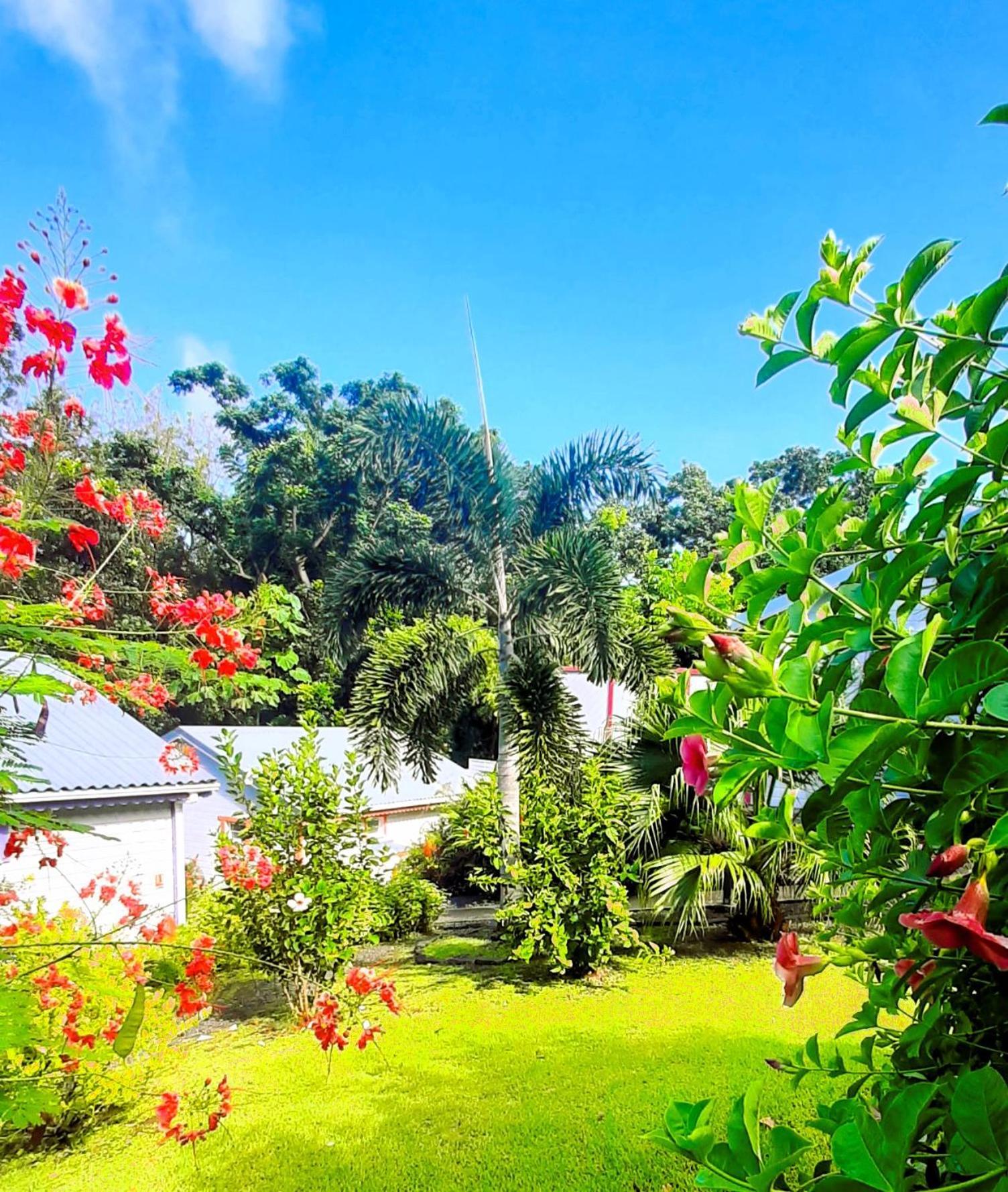 Caraibes Cottages Corail Piscine Privee A 900M De La Plage De Grande Anse 德赛 外观 照片
