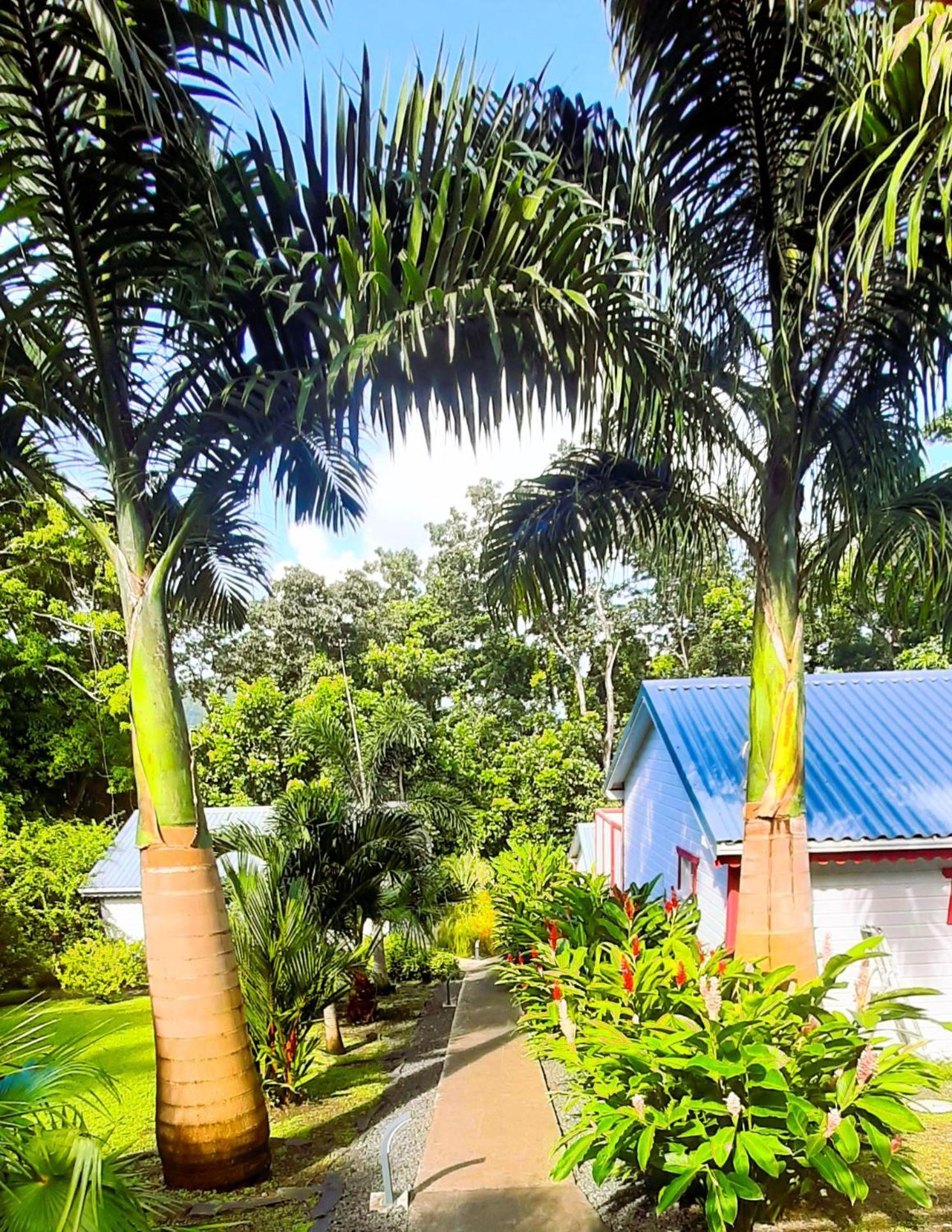 Caraibes Cottages Corail Piscine Privee A 900M De La Plage De Grande Anse 德赛 外观 照片